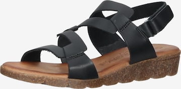 COSMOS COMFORT Strap Sandals in Black: front