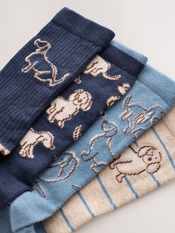 Next Socken in Mischfarben