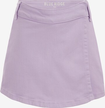 WE Fashion Skirt in Purple: front