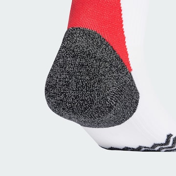 Chaussettes de sport 'Olympique Lyon' ADIDAS PERFORMANCE en blanc