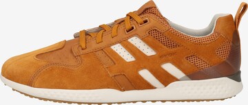 GEOX Sneakers in Brown