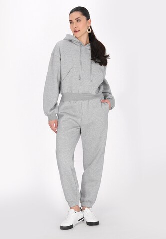 faina Athlsr - Sweatshirt em cinzento
