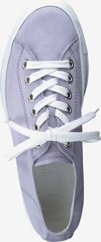 Paul Green Sneaker in Lila