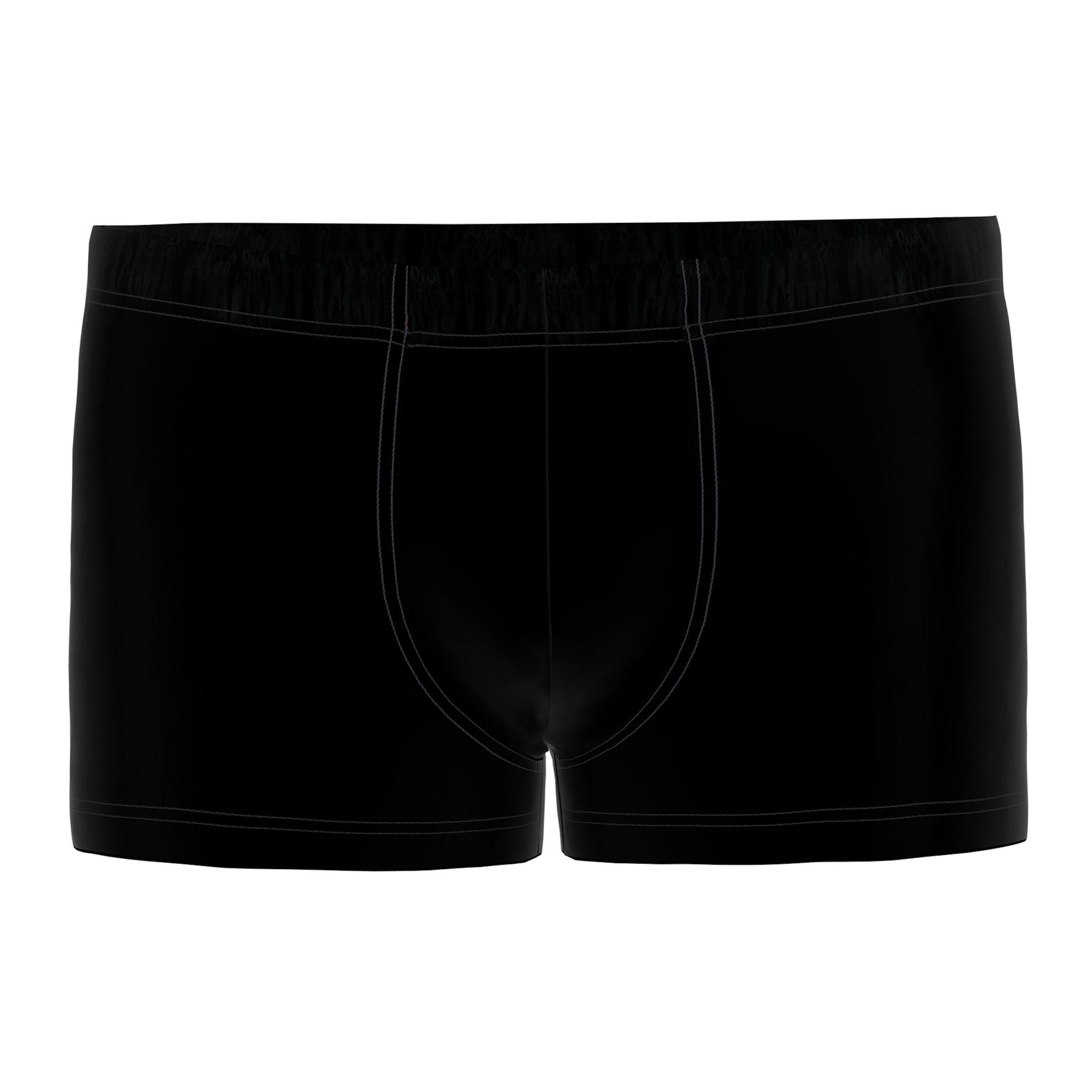 SEIDENSTICKER Boxer shorts in Mixed colours
