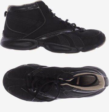 Adidas neo 41 hot sale