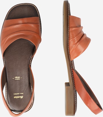 Bata Sandal in Brown