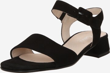 GABOR Strap Sandals in Black: front