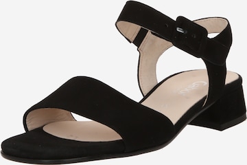 GABOR Páskové sandály – černá: přední strana
