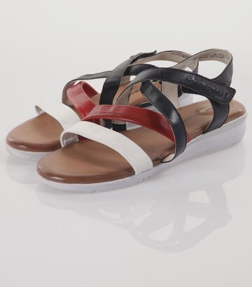 HUSH PUPPIES Sandalen 41 in Mischfarben: predná strana