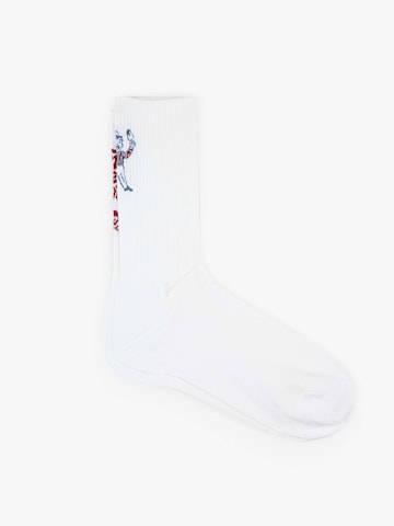 Scalpers Socks 'Ice' in White