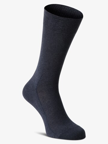 FALKE Sports socks in Blue: front