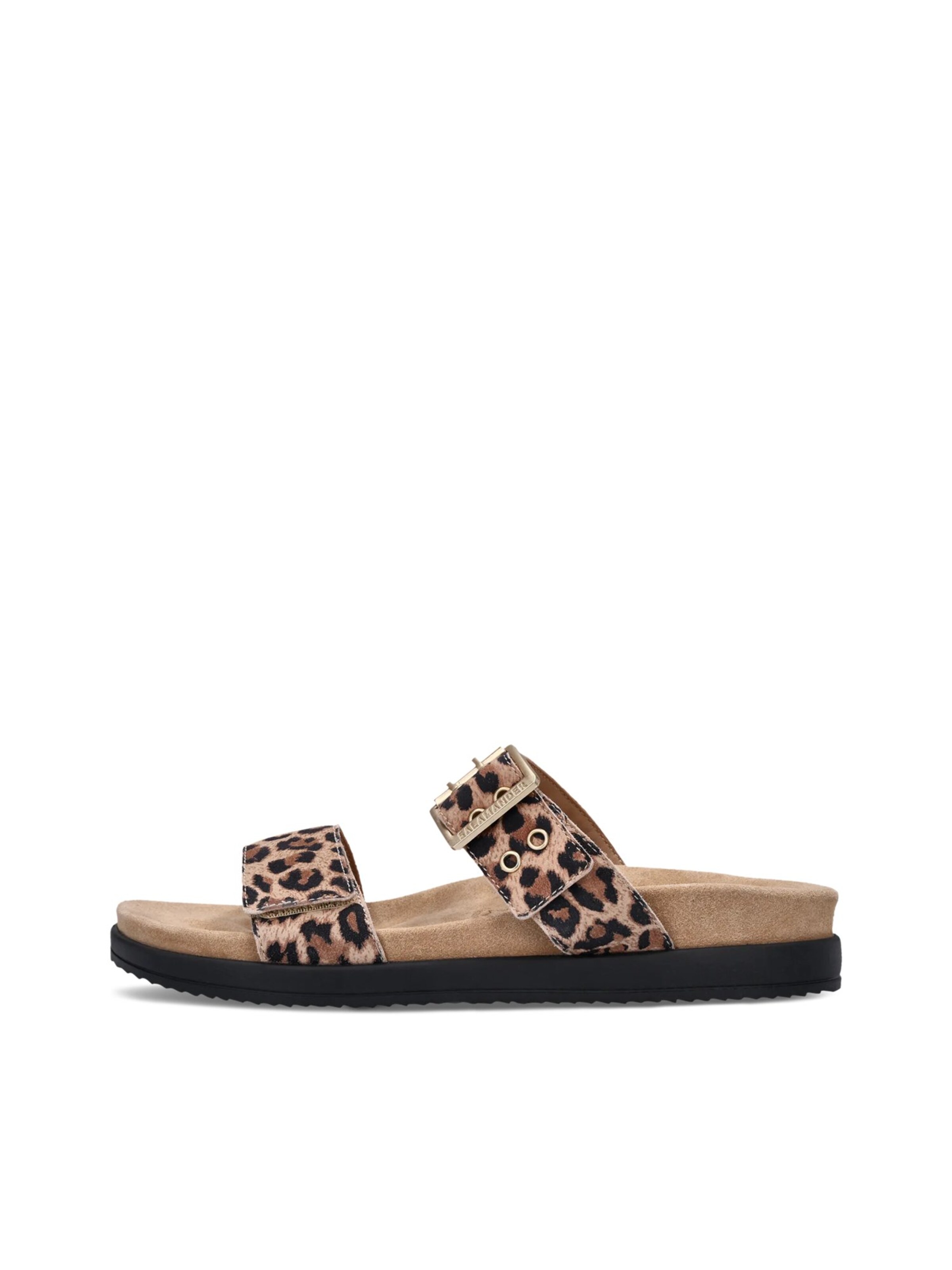 SALAMANDER Mules in Brown