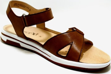 CAPRICE Strap Sandals in Brown