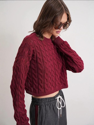 Pullover 'Pullover' di MixRay in rosso