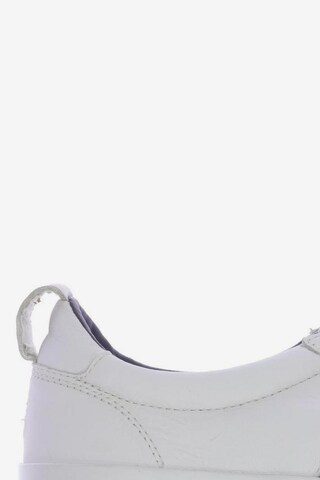 TOMMY HILFIGER Sneakers & Trainers in 43 in White
