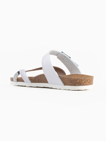 Bayton Mule 'Diane' in Gold