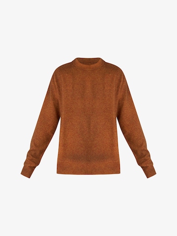 Pullover di AMISH in marrone: frontale