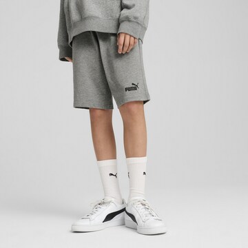 PUMA Regular Shorts 'ESS No. 1' in Grau: Vorderseite