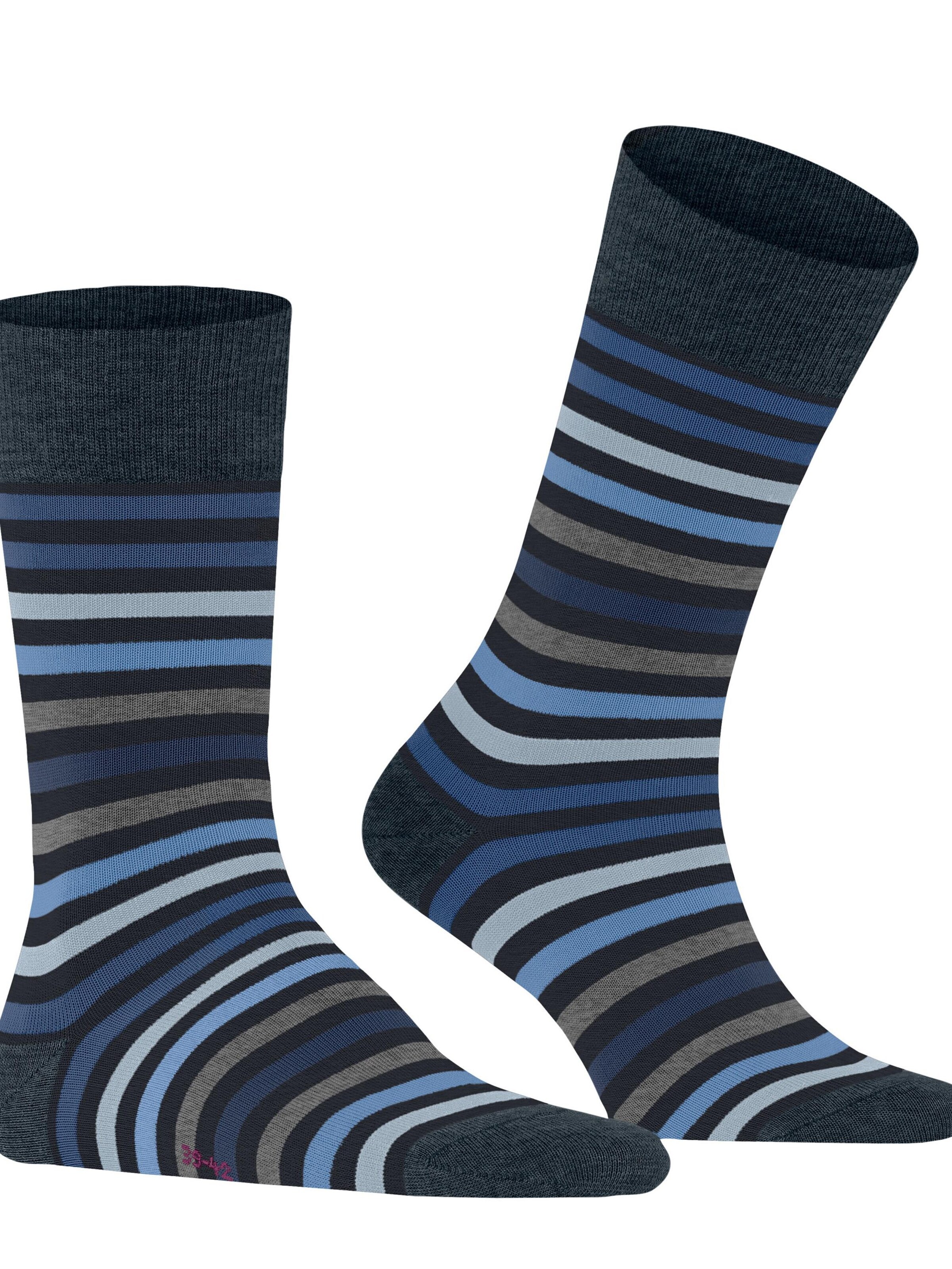 FALKE Socks 'Tinted Stripe' in Blue: front