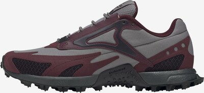 REEBOK Sportschuh 'Franconia Ridge 3.0 GTX' in schwarz REEBOK Sportschuh 'Franconia Ridge 3.0 GTX' in schwarz
