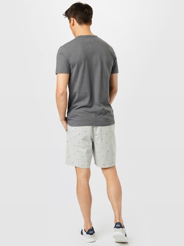 regular Pantaloni chino di HOLLISTER in grigio