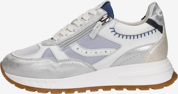 Baskets basses Piedi Nudi en bleu : devant