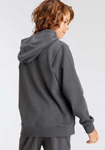 Kidsworld Sweatshirt in Grey