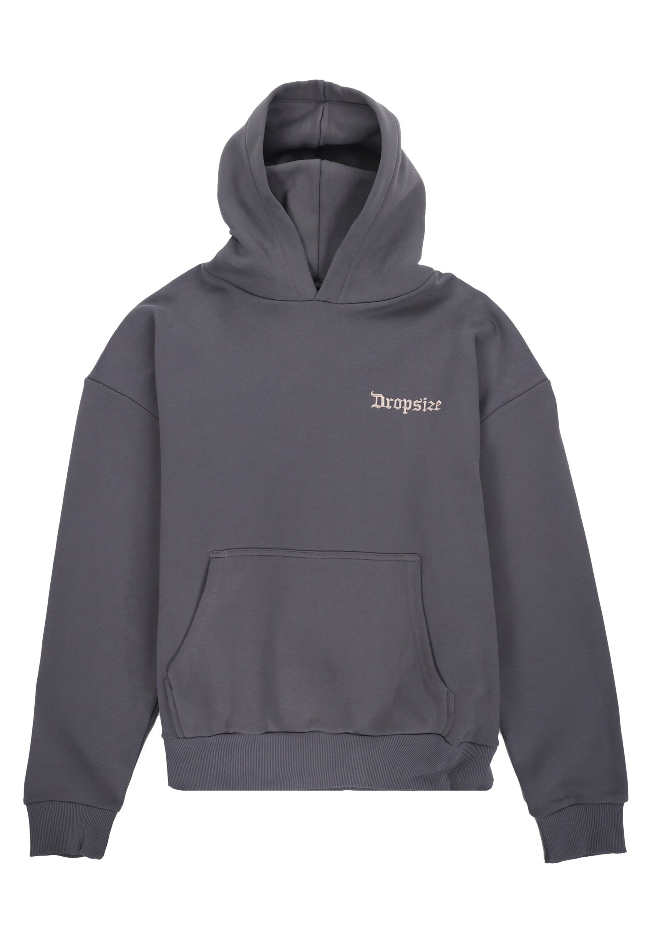 Dropsize Sweatshirt in Grau: Vorderseite