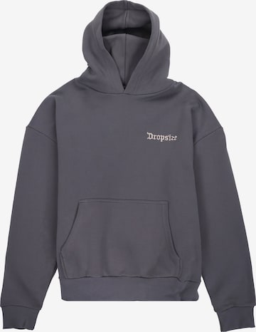 Dropsize Sweatshirt in Grau: Vorderseite