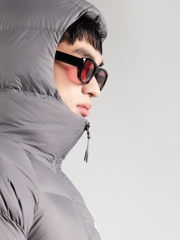 THE NORTH FACE Winterjas 'Hydrenalite' in Grijs