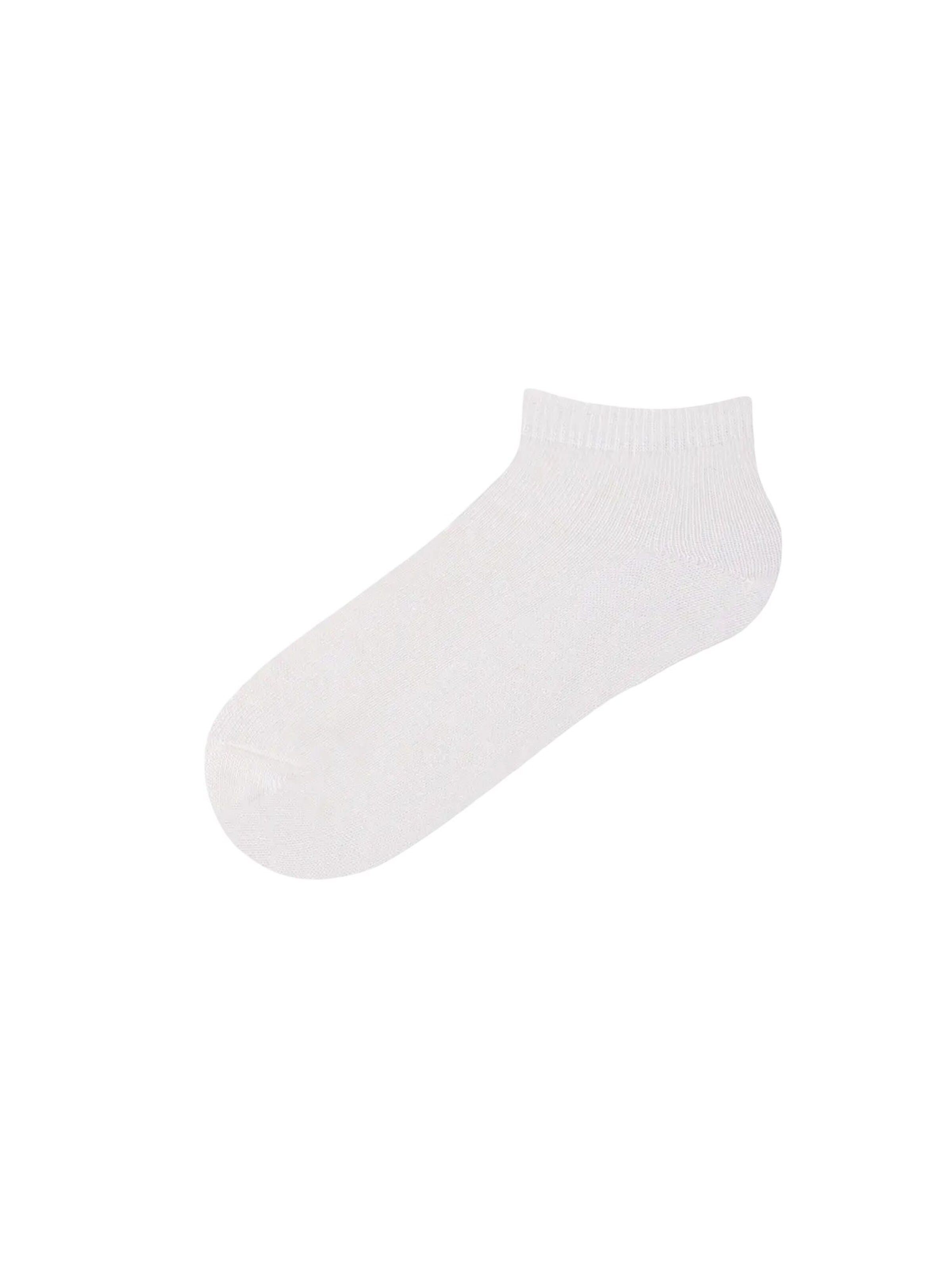 Penti Socken 'PENTI 3er-Pack Haifisch-Baumwoll-Füßlinge' in Blau