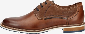 Chaussure à lacets FRETZ MEN en marron