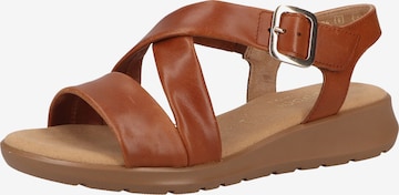 GABOR Strap Sandals in Brown: front