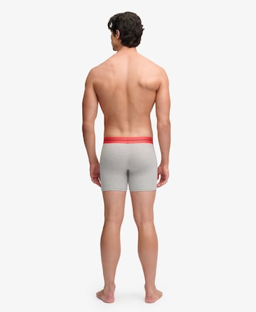 Superdry & Co Boxer shorts in Grey