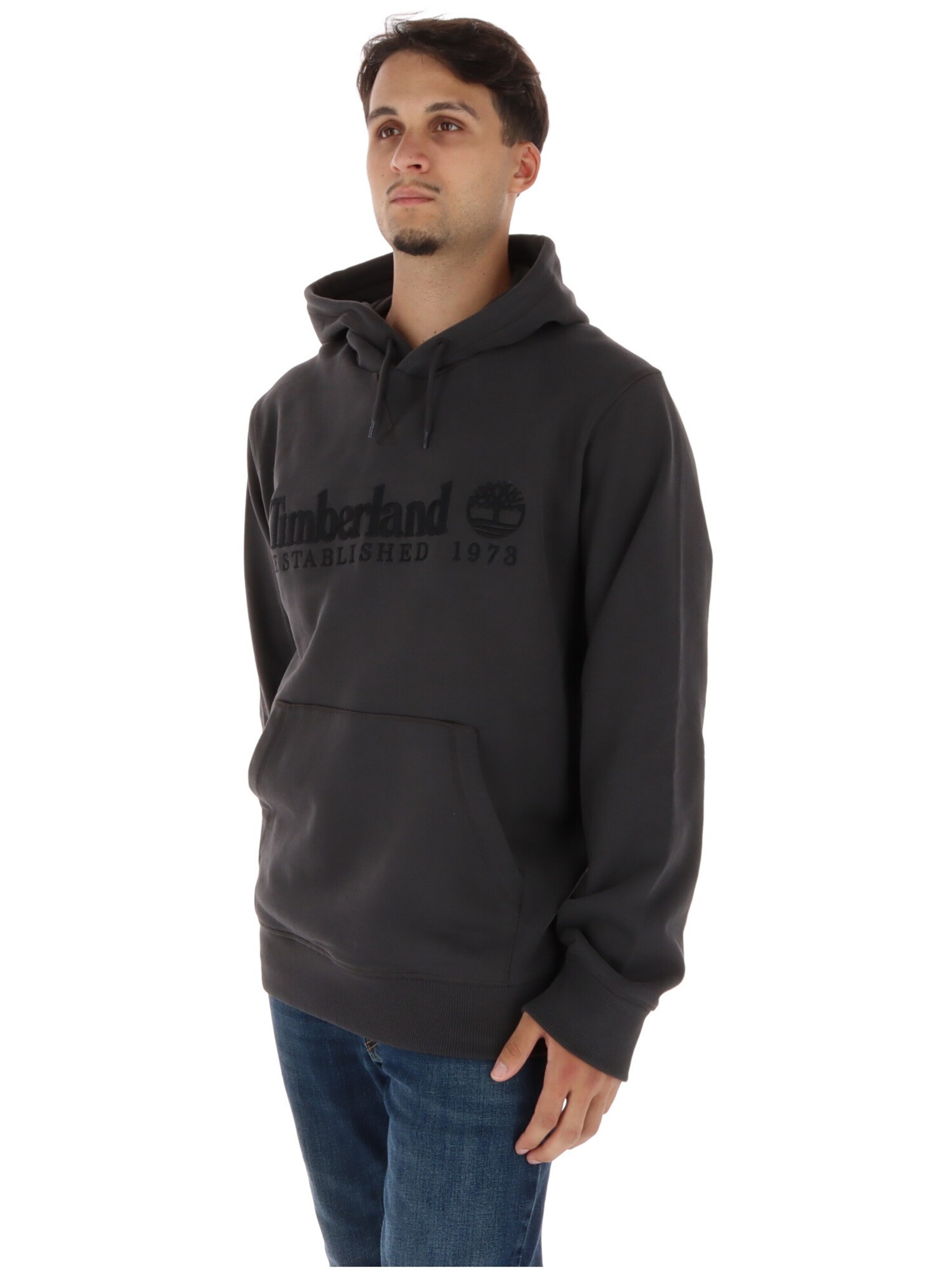 TIMBERLAND Sweatshirt‌‌‌‌‌‌‌‌ in Grau