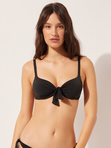 CALZEDONIA Push-up Bikinitop 'INDONESIA' in Schwarz: Vorderseite