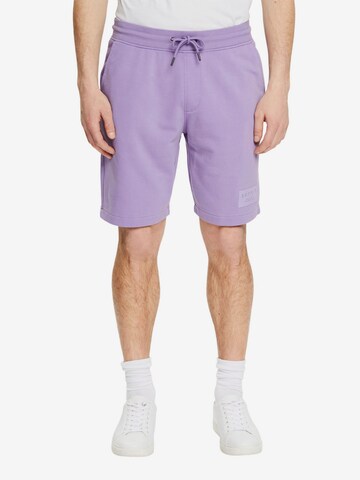 ESPRIT Regular Pants in Purple: front