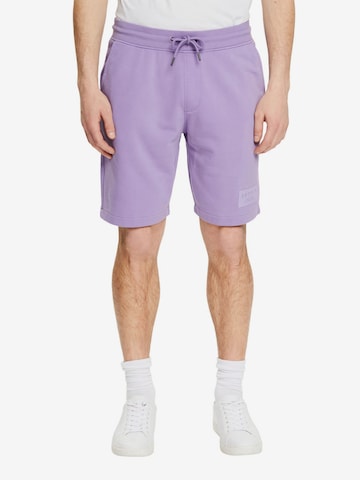 ESPRIT Pants in Purple: front
