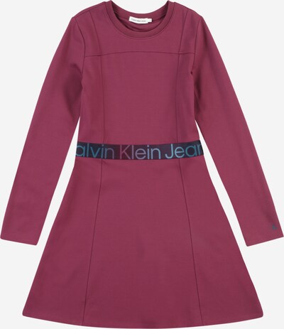 Calvin Klein Jeans Kleid in azur / beere / schwarz, Produktansicht