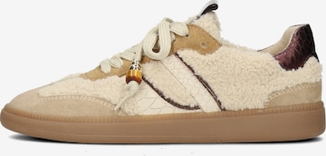 Baskets basses 'SKYE' Haboob en beige : devant