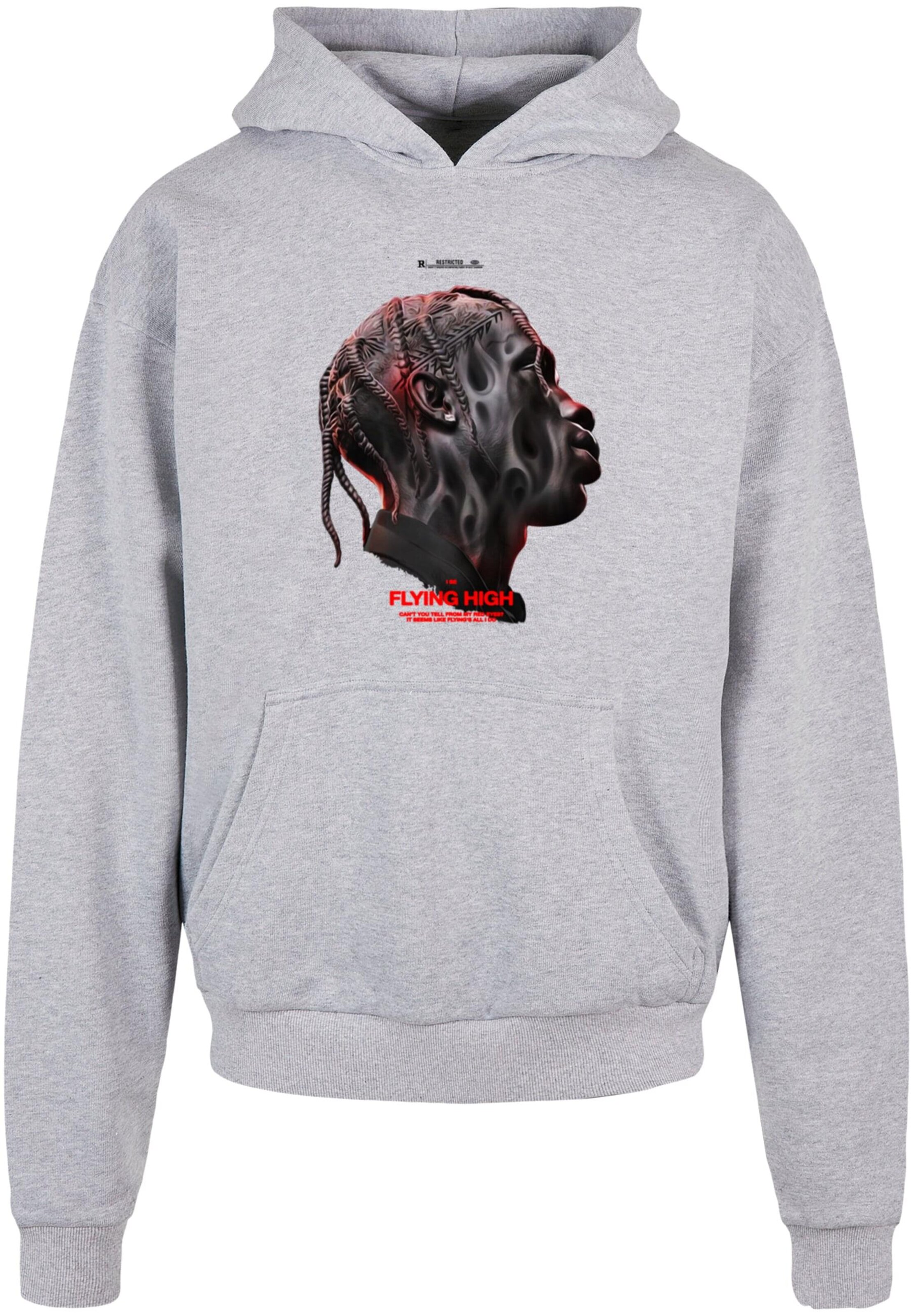 MT Upscale Sweatshirt 'Flying High' in Grey: front