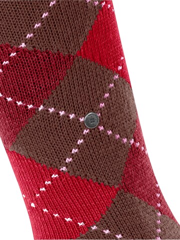 BURLINGTON Overknee Strümpfe 'Whitby'‌ in Braun