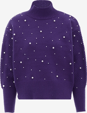 Pull-over faina en violet : devant