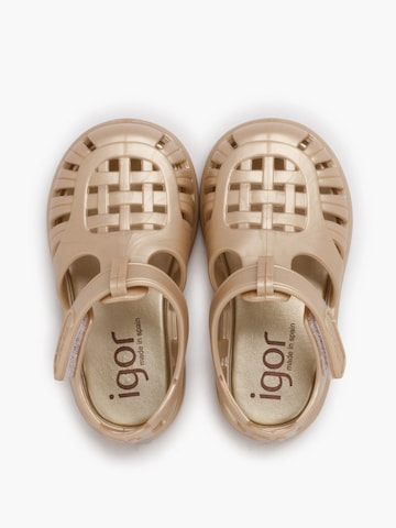 IGOR Beach & Pool Shoes in Gold