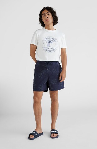 O'NEILL Loosefit Shorts 'Tasman' in Blau