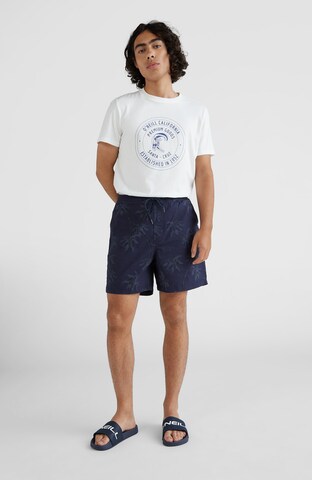 O'NEILL - Loosefit Pantalón 'Tasman' en azul