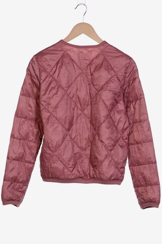 EDC BY ESPRIT Jacke S in Pink