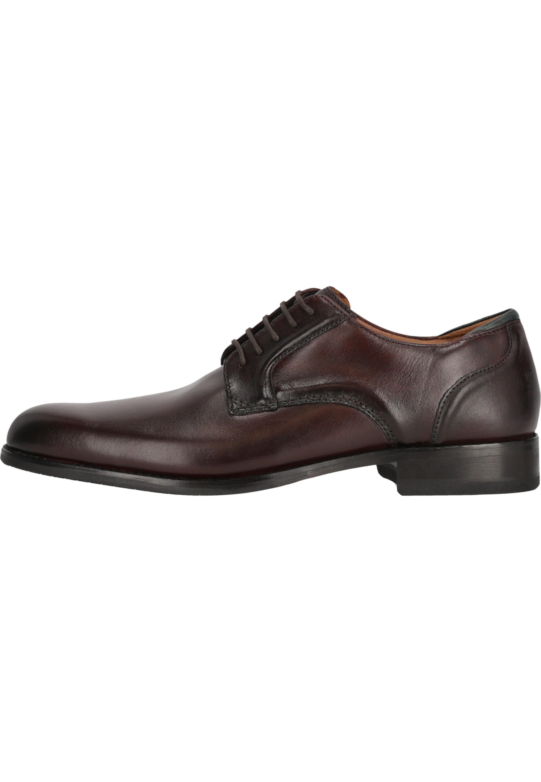 CLARKS Lace-up shoe 'CraftArlo' in Brown