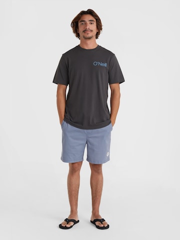 O'NEILL Loosefit Shorts 'Og Porter' in Blau