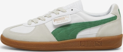 PUMA Tenisky 'Palermo' - béžová / zelená / bílá, Produkt